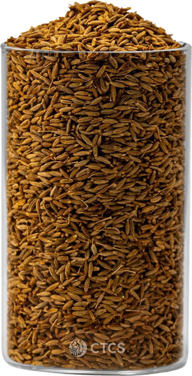 Cumin